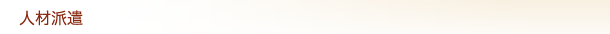 �l�ޔh��